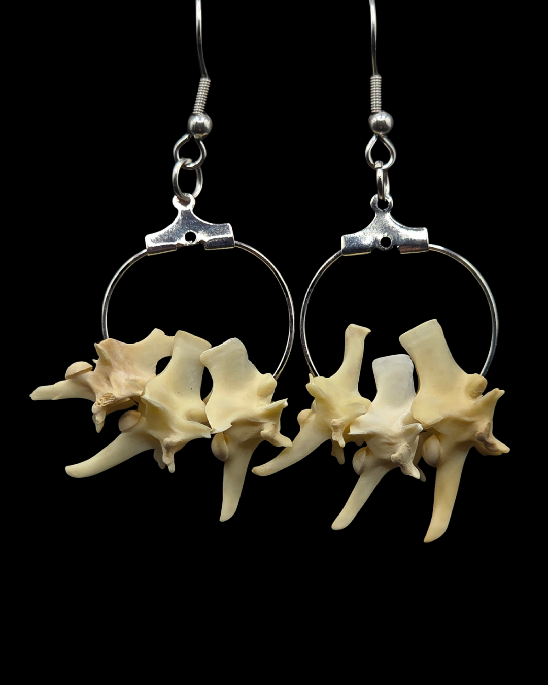 Small Bone Hoops