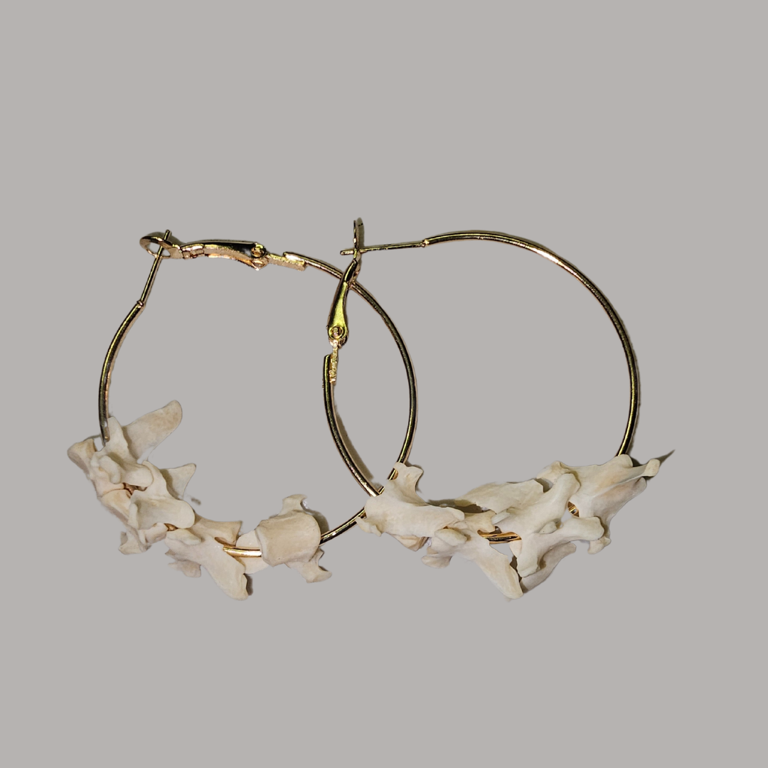 Gold Vertebrae Hoop Earrings