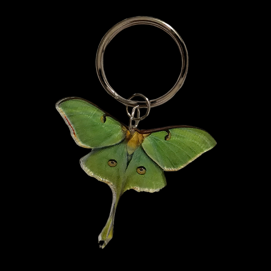 Lunar Moth Keychain