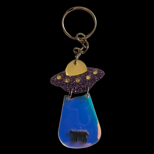 UFO Abduction Keychain