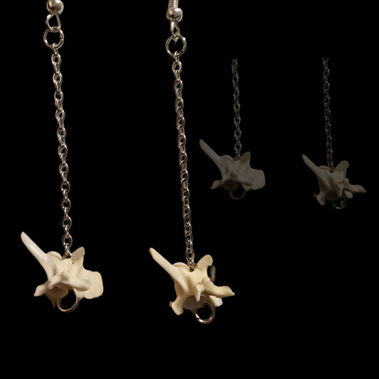 Vertebrae long dangle earrings